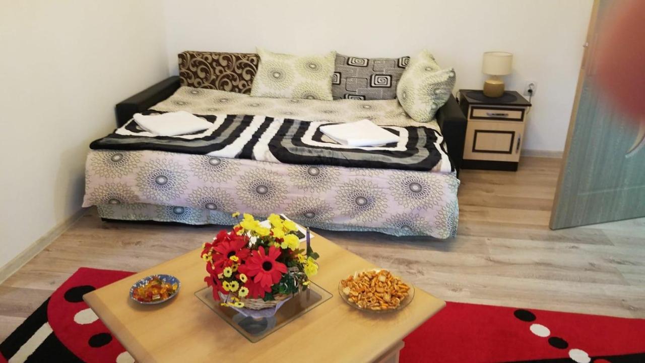 Florin Apartament 시기쇼아라 외부 사진