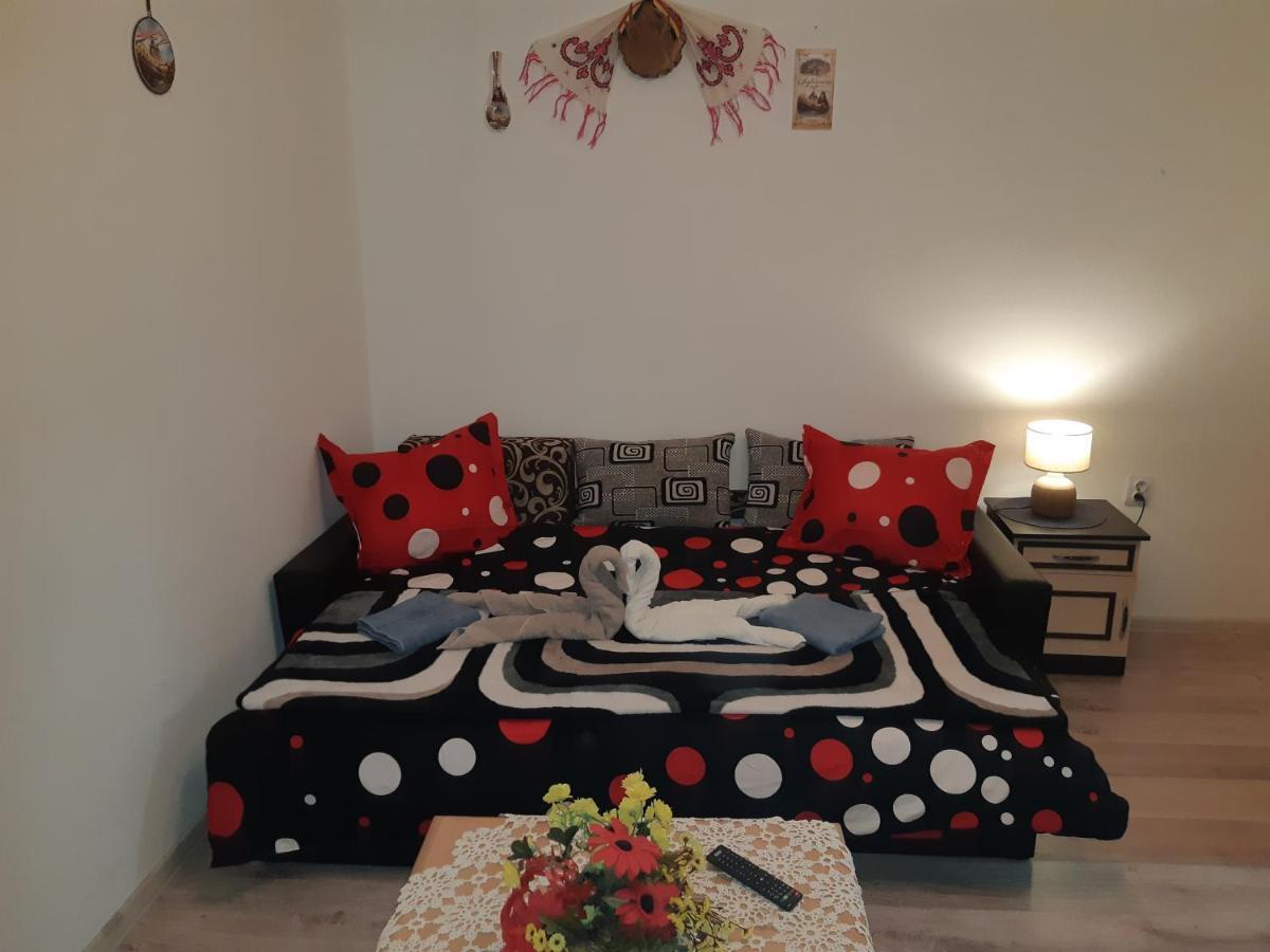 Florin Apartament 시기쇼아라 외부 사진