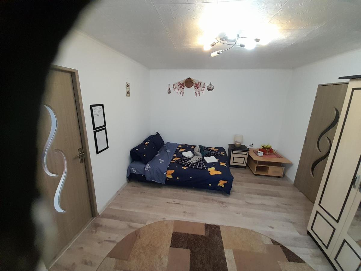 Florin Apartament 시기쇼아라 외부 사진